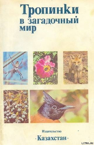 Книга Тропинки в загадочный мир [с иллюстрациями]